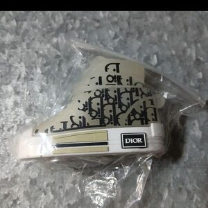 Airpod Case Dior Sneaker